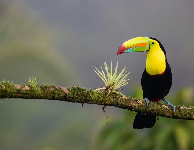 When Is the Best Time to Visit Costa Rica?