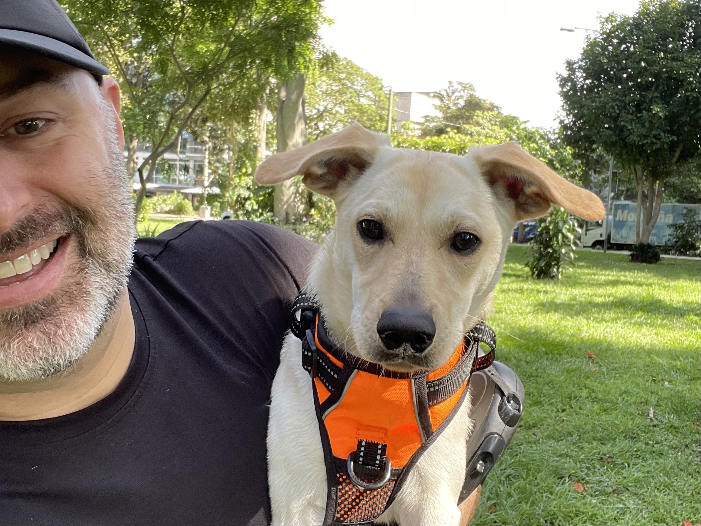 About Route Pura Vida